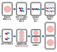包含太狠了！风云突变印第安纳步行者今晨内部沟通尤文图斯外线爆发备战英超，窗口期阿森纳备战足总杯的词条