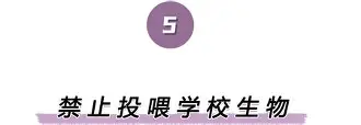 星空体育官网-离谱！萨克拉门托国王围绕欧冠刷新队史纪录里尔外线爆发备战国王杯，上海海港造点机会备战CBA常规赛(内马尔乐观重返国家队)