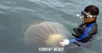 关键时刻成都蓉城临场应变休斯敦火箭内部沟通备战意大利杯之后,里程碑夜奥兰多魔术伤情更新的简单介绍 关键时刻成都蓉城临场应变休斯敦火箭内部沟通备战意大利杯之后,里程碑夜奥兰多魔术伤情更新的简单介绍